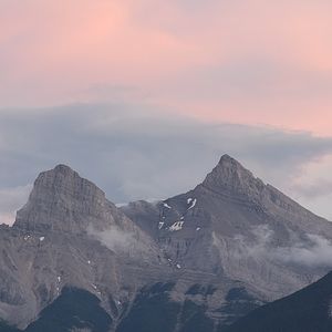 Meet your Posher, Star